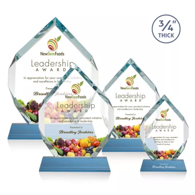 Royal Diamond VividPrint™ Award on Newhaven - Sky Blue