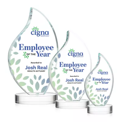 Odessy Flame VividPrint™ Award on Alberton Base - Clear