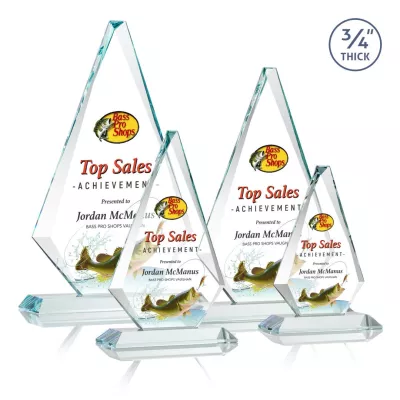 Windsor VividPrint™ Award - Starfire