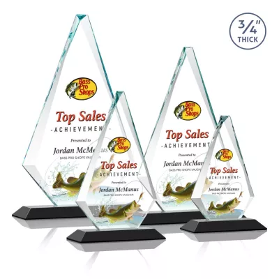Windsor VividPrint™ Award - Black
