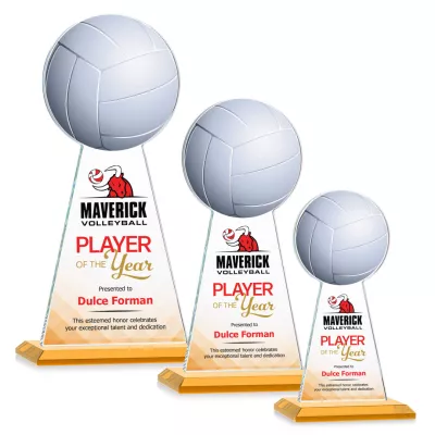 Edenwood Volleyball VividPrint™ Award - Amber