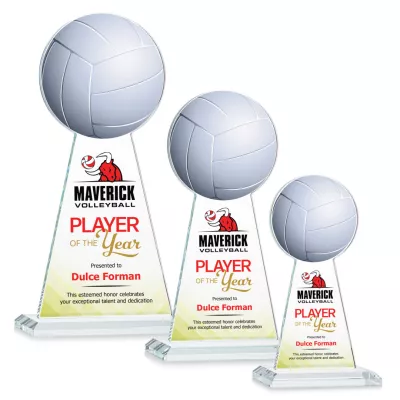 Edenwood Volleyball VividPrint™ Award - Clear