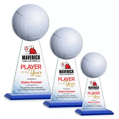 Edenwood Volleyball VividPrint™ Award - Blue
