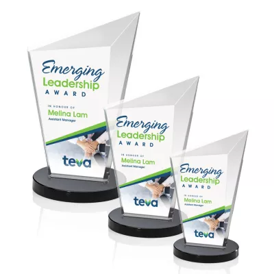 Wiltshire VividPrint™ Award - Black