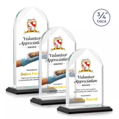 Blake VividPrint™ Award - Black