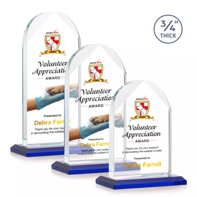 Blake VividPrint™ Award - Blue