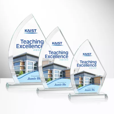 Ayrton VividPrint™ Award
