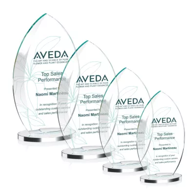 Windermere VividPrint™ Award - Clear