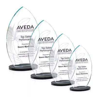 Windermere VividPrint™ Award - Black