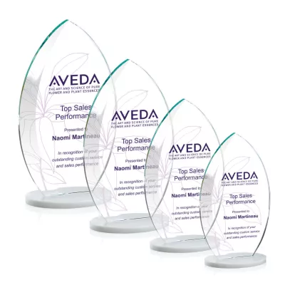 Windermere VividPrint™ Award - White