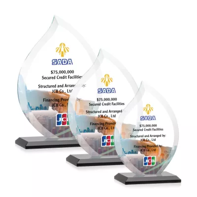Nestor Flame VividPrint™ Award - Black