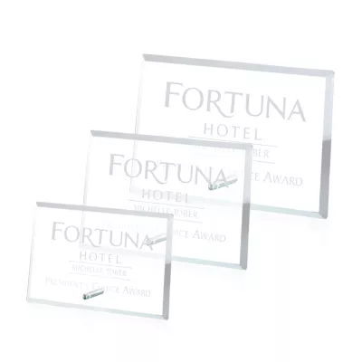 Windsor Rectangle Horizontal Award - Chrome