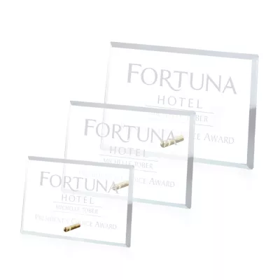 Windsor Rectangle Horizontal Award - Gold