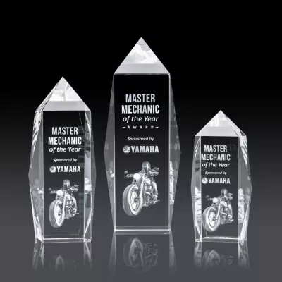 Bloomington Award 3D