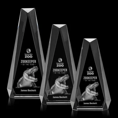 Carmel 3D Award - Clear