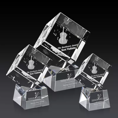 Burrill 3D Award on Robson Base - Clear