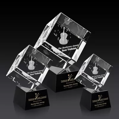 Burrill 3D Award on Robson Base - Black