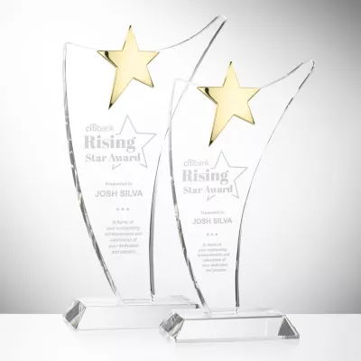 Atkinson Gold Star Award