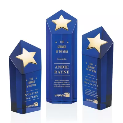 Dorchester Gold Star Award - Blue