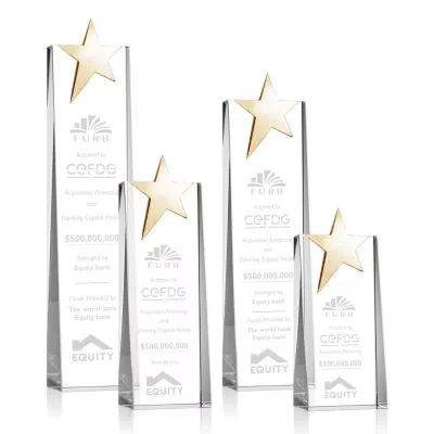 Fanshaw Gold Star Award
