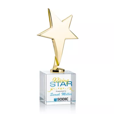 Tuscany Gold Star VividPrint™ Award on Granby Base - Clear