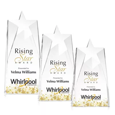 Millington Star VividPrint™ Award