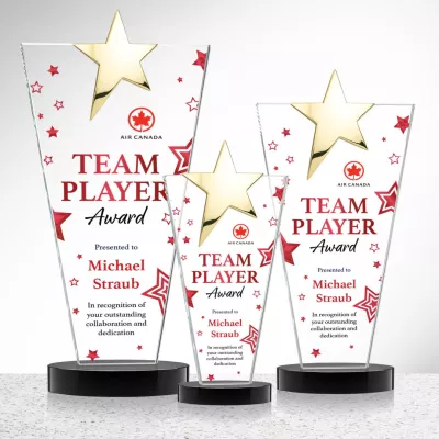 Mantella Gold Star VividPrint™ Award - Black