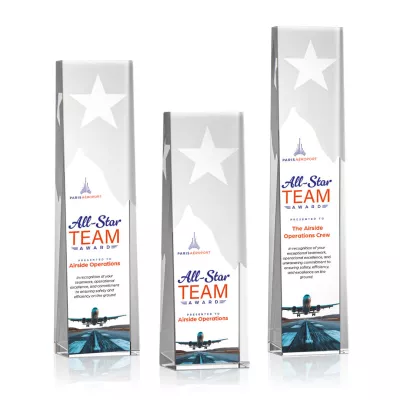 Artemus Star VividPrint™ Award