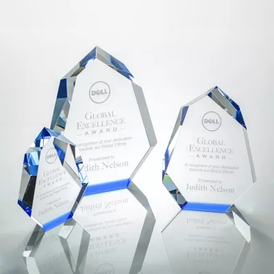 Norwood Award - Blue