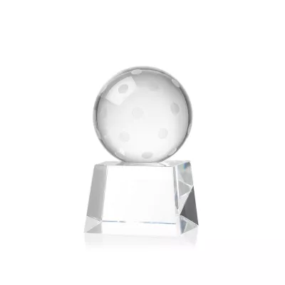 Pickleball Award on Robson Base