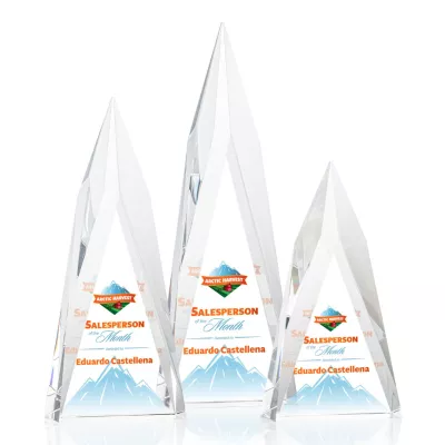 Salisbury VividPrint™ Award