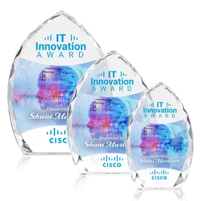 Wilton VividPrint™ Award - Clear