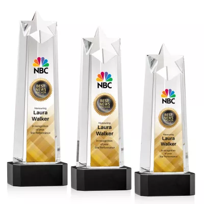 Delaware Star VividPrint™ Award on Base - Black