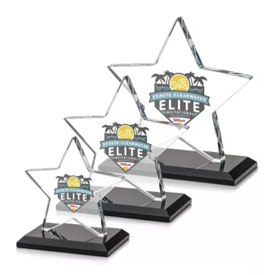 Sudbury Star VividPrint™ Award - Black