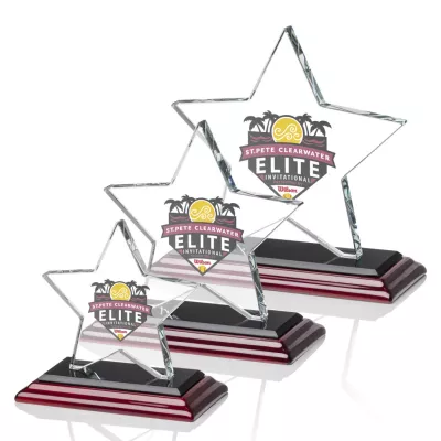 Sudbury Star VividPrint™ Award - Albion™