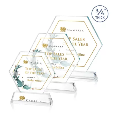 Ralston VividPrint™ Award - Clear
