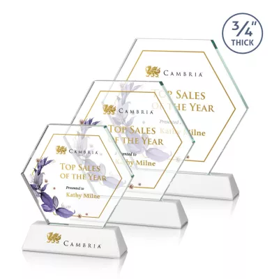 Ralston VividPrint™ Award - White