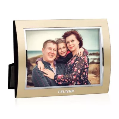 Curvo Frame - Gold/Silver
