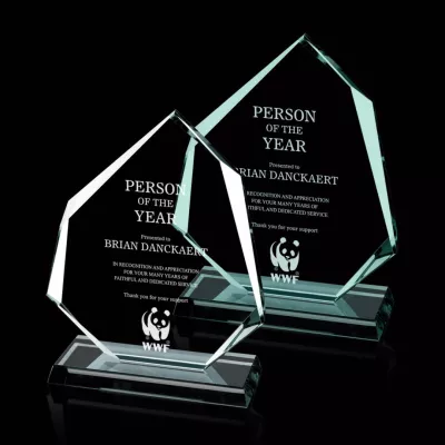 Administrator Award