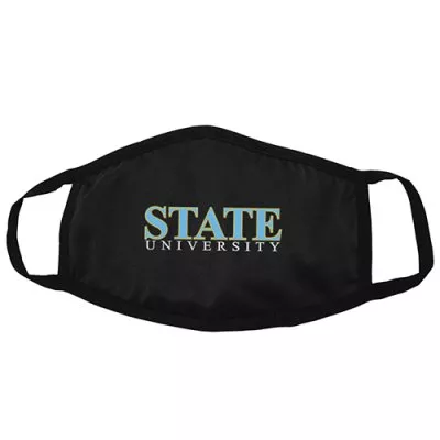 2-Ply Poly-Blend Mask