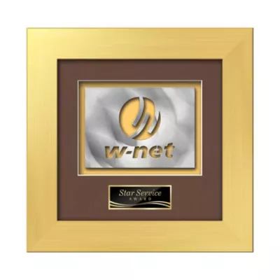 Premier Aquashape™ Award - Gold
