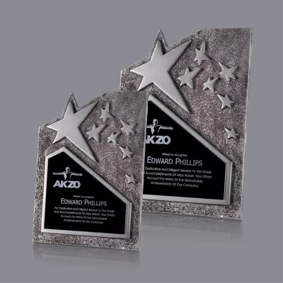 Ruddington Award