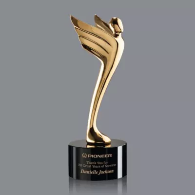 Meteor Award - Gold