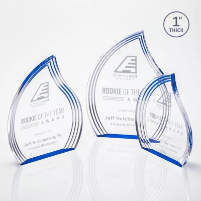 Tidworth Award - Clear Blue Right