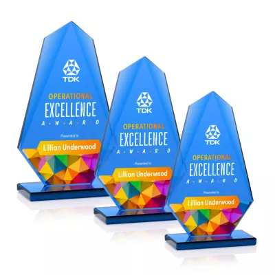 Winstead VividPrint™ Award