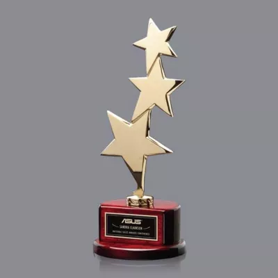 Highland Shooting Star Award