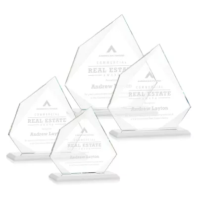 Lexus Award - White