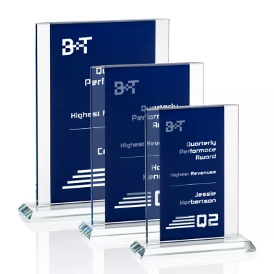 Tameside Award - Blue