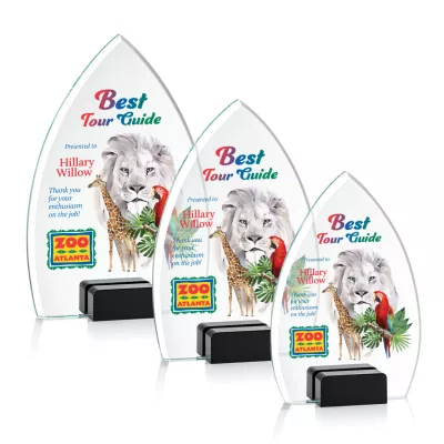 Aylin VividPrint™ Award - Black