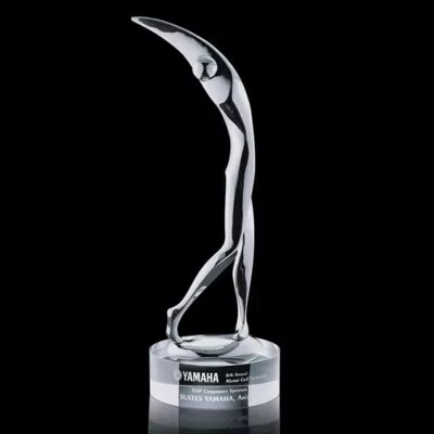 Stoke Golfer Award